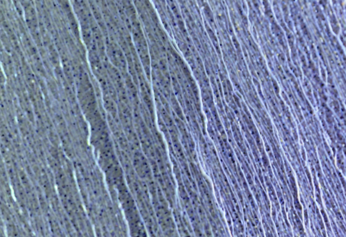 Prebiotic Chemistry & Replicators render