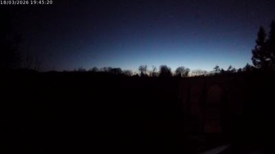 Burgundy twilight — treeline silhouetted against deep blue horizon