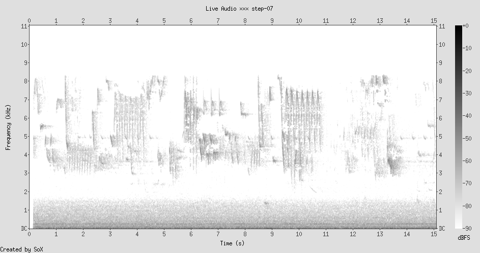 Spectrogram: dawn chorus birdsong, complex frequency patterns 3-8 kHz