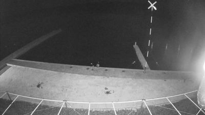 Infrared view of a yacht club dock at night — jetty into black water, birds perched on the pontoon, railing in foreground