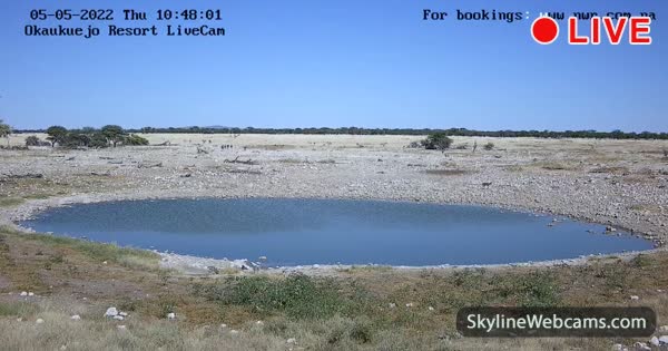 The Okaukuejo waterhole at Etosha National Park -- a blue oval of water in a vast white-gray limestone pan, sparse trees, distant animal shapes