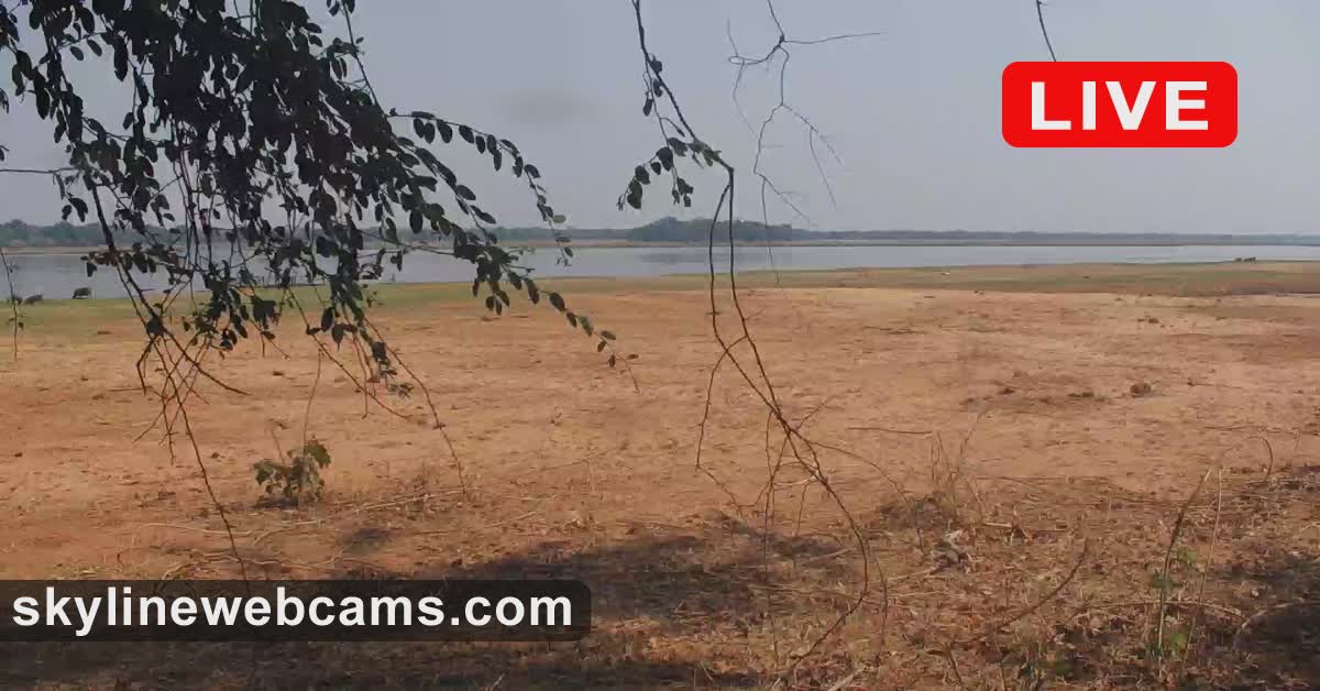 An empty floodplain on the Zambezi River -- brown earth, bare branches in foreground, wide river in distance, overcast sky. No animals visible.