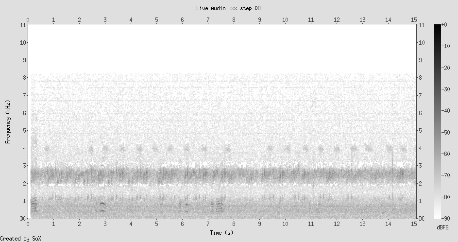 Spectrogram: rich bird activity with distinct call patterns, mid-to-high frequency