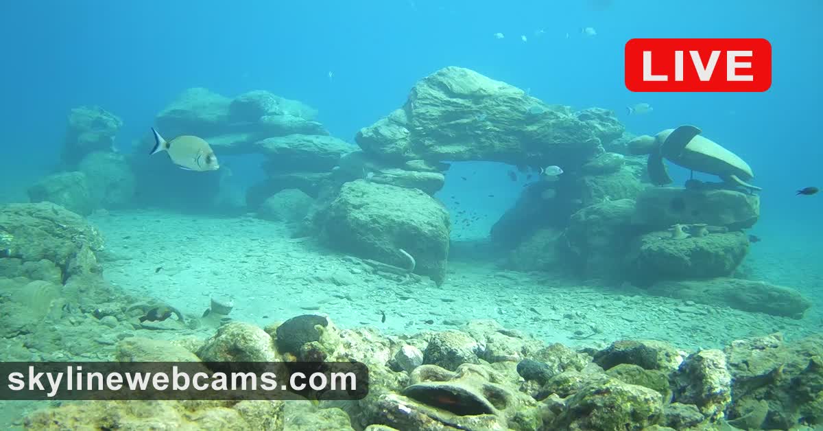 Underwater view in Karavostasi Bay -- turquoise water, rock formations, small fish scattered across the frame, sandy bottom