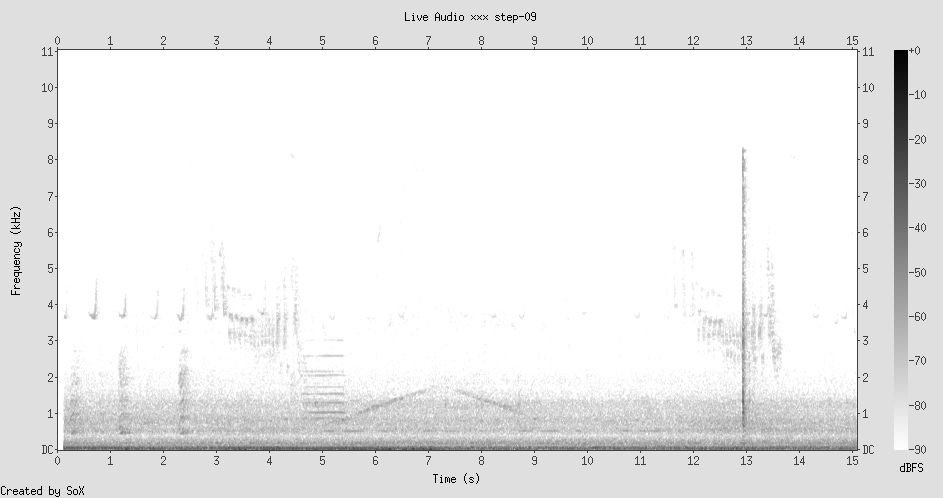 Spectrogram: water sounds with dramatic bursting spikes, low broadband