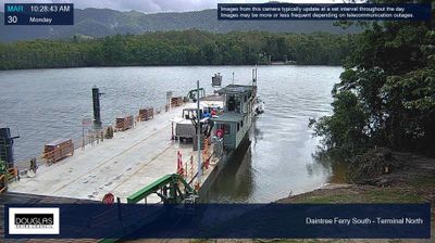 The Daintree River ferry -- a flat barge with vehicles, dark river water, dense tropical rainforest on both banks, overcast morning