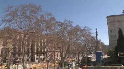 View of La Rambla with bare plane trees and Columbus Monument