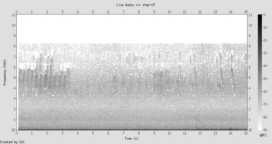 Spectrogram: wind broadband noise, occasional sharp bird-call spikes