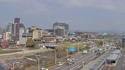 Kyoto low skyline, Kamo River bed, cherry blossoms beginning, mountains beyond