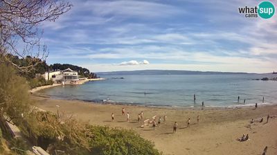 Split Bacvice beach with scattered beachgoers in March sun, swimmers in shallow water, Mediterranean pine trees framing the scene