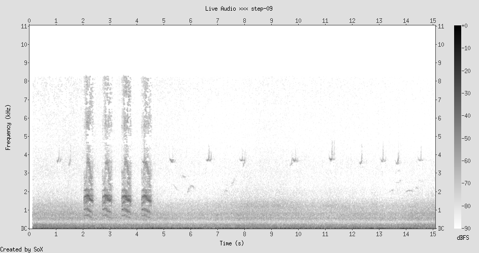Spectrogram: sparse ambient sounds, distant voices, urban environment