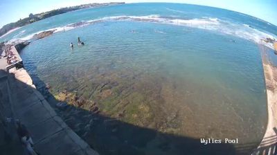 Wylie's Baths ocean pool, Coogee — swimmers in a rock-cut pool with open Pacific beyond