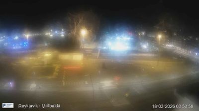 Reykjavik harbour at 3:53 AM — dark, foggy, streetlamps creating soft halos, bare trees, empty parking area
