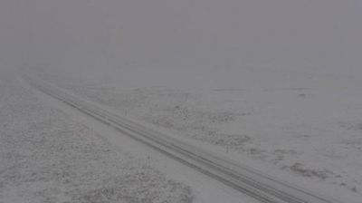 Road vanishing into a snow whiteout — Mýrdalssandur black sand plain, barely visible tracks, total erasure
