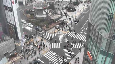 Shinjuku intersection from above — scramble crossing, pedestrians, overcast light, trees, urban infrastructure — return to Tokyo